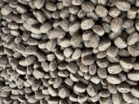 Barres de céréales instantanées croustillantes à base de protéines de cacao et de soja, riches en protéines, pour applications alimentaires, 18 kg par carton, 18 mois