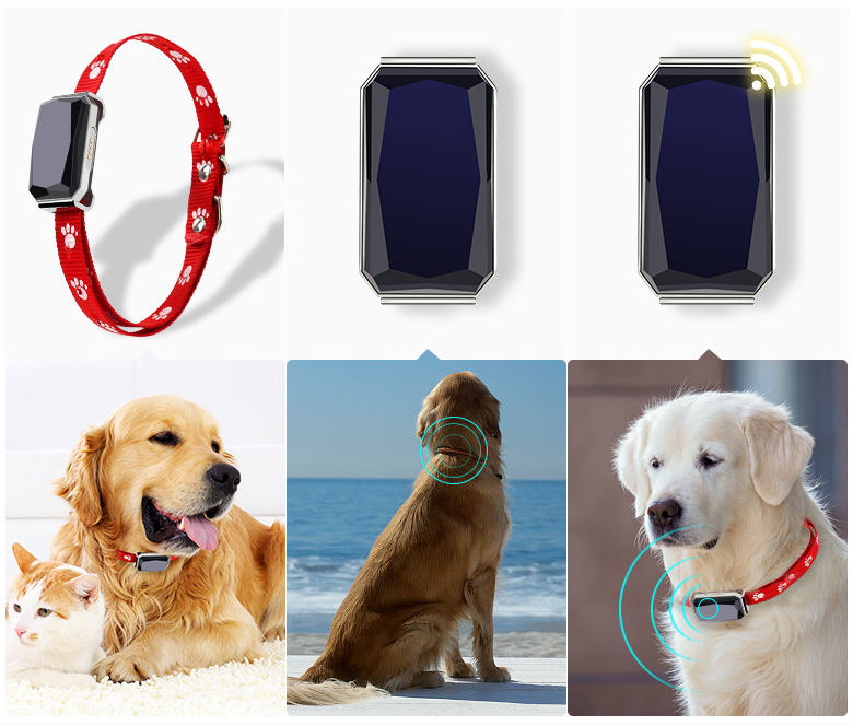 iCar IK122T Dog Tracker - Waterproof GPS Pet Collar with Real-Time Tracking Geofence