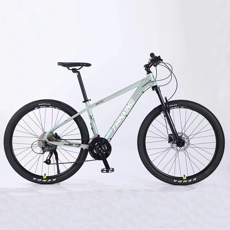 Normal Mountain Bikes Durable, Efficient Rides for All