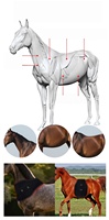 Couverture LED infrarouge mobile pour chevaux, équipement thérapeutique vétérinaire pour le bien-être équin, avec batterie intégrée et thérapie par lumière rouge