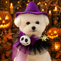 Bandana mignon pour chien Halloween, foulard triangulaire amusant pour chat, accessoires de costume de fête, bavoir anti-salive pour chiot