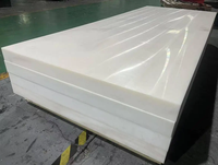 Plaques en plastique UHMWPE pour patinoire artificielle, dalles de glace synthétique pour patinoire de hockey