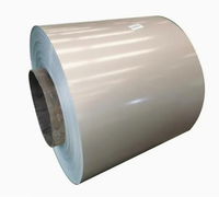 Tôles en acier prélaqué (PCM/VCM/PVC) pour réfrigérateurs, appareils électroménagers et machines à laver - Achetez des tôles métalliques prélaquées (PCM)
