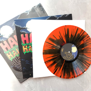 Ensemble complet d'emballage pour disques vinyles personnalisés : boîte cadeau, cartes, enveloppes, étiquettes, réplication de disques, transparent/colore uni, impression 24 min - Product Image 5