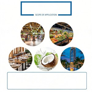 Прямые поставки с завода: Оборудование для переработки фруктов и овощей, а также автоматическая электрическая машина для нарезки кокосов для кокосовых ферм. - Product Image 2