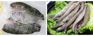 เครื่องลอกหนังสัตว์ไฟฟ้า สำหรับ<span class=keywords><strong>หมู</strong></span> เนื้อวัว ไก่ ปลา - Product Image 6