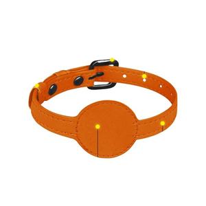 Apple Airtag 위치 추적 애완 동물 목걸이 GPS 애완 동물 목걸이 - Product Image 1