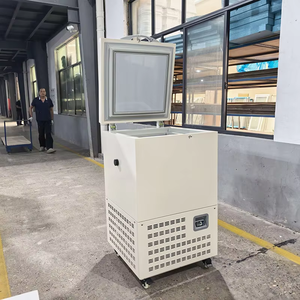<span class=keywords><strong>Mini</strong></span> Refrigeradores de Alta Calidad de 58L - 86 ℃   <span class=keywords><strong>Congelador</strong></span> Comercial de Ultra Baja Temperatura - Product Image 5