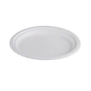 Assiettes jetables en bagasse de canne à sucre compostables de 10 pouces pour la restauration et les événements hôteliers - Product Image 2