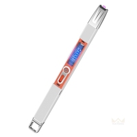 Briquet à arc coupe-vent rechargeable USB-C transparent, torche domestique, réchaud à gaz portable, écologique, rétro et tendance