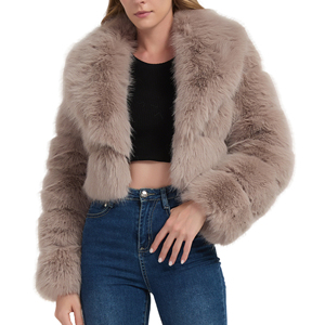 Manteau court en fausse fourrure pour femme, style européen et américain, nouvelle collection automne/hiver 2026, avec bordure en fourrure - Product Image 1