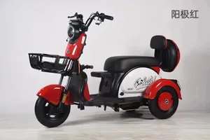 Triciclo eléctrico cerrado de 800/1000W Vehículo de pasajeros cerrado de tres ruedas con kilometraje de conducción de 30km Certificado EEC/DOT/GCC - Product Image 5