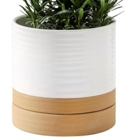 Pot de fleurs en céramique d'argile blanche bicolore, cylindre rayé, avec plateau de drainage pour plantes succulentes, décoration intérieure de bureau