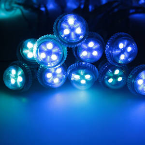 SHIJI, venta al por mayor, luz LED de píxeles RGBW DC12V, 26mm de diámetro, 19mm, 14mm, 3 uds., SMD 5050, LED RGB blancos cálidos para Parque de Atracciones EPistar - Product Image 4