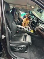 Sièges baquet sport pour l'intérieur de voiture, personnalisables, revêtement en cuir noir et siège en mousse pour BMW F30 F80 F10 M3 M5, kit de mise à niveau