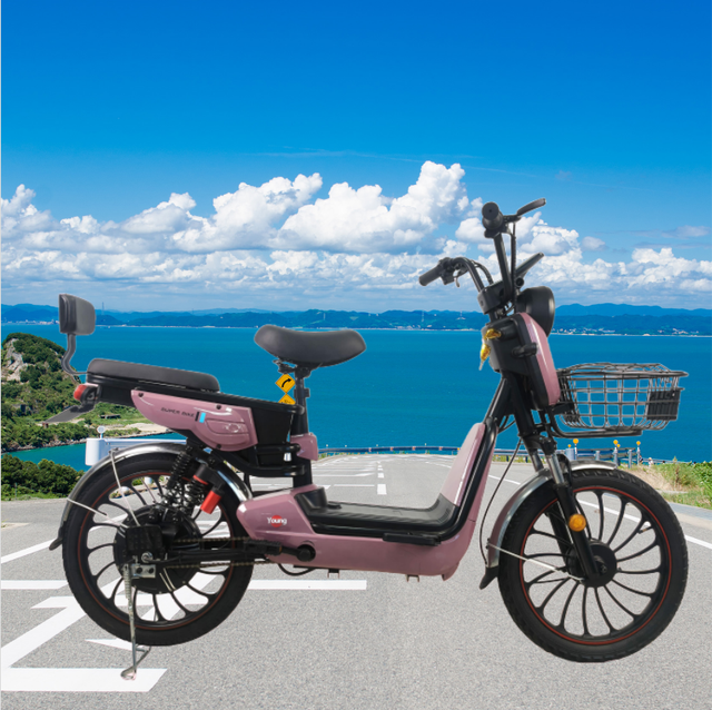 High Quality Electric Bike  Electric Bike Electric City Bikes Electric Bicycle Electric Bicycle Motor Electric  Bike