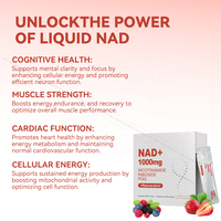 ACORN Antioxydant NAD + Boisson Orale Liquide avec PQQ Heart Support Con Resveratrol NAD Suppléments 1000mg