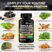 Complément en capsules de qualité supérieure, pur Ashwagandha, Panax Ginseng et Shilajit Gold, pour hommes, en gros, OEM, marque privée