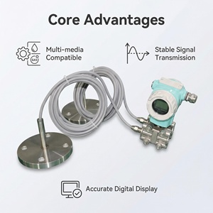 Doppelflansch-Differenzdruck-Füllstandsensor für Flüssigkeiten/Gase IP66/67 Zertifiziert 4-20mA/HART Ausgang <span class=keywords><strong>DP</strong></span>-Füllstandsensor 1 Jahr Garantie - Product Image 6