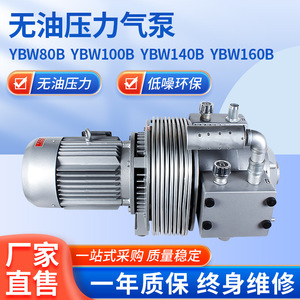 Pompe à vide simple Isge Ybw B 39 L/min en fonte et acier inoxydable, compresseur industriel rotatif électrique - Product Image 5