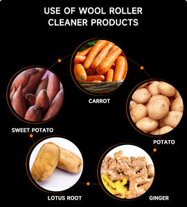 Macchine per il Lavaggio della Frutta, Lavatrice per Patate, Pelatrice per Zenzero, Macchina per Lavare e Pelare Patate - Product Image 3