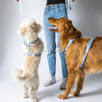 Cómodo arnés para caminar recubierto de PVC para niños, niñas, perros, fácil mantenimiento, diseñado para resistir el mal tiempo, uso pesado de plástico