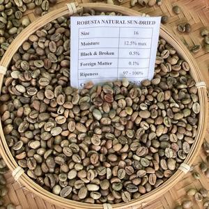 High Grade Vietnam Robusta Coffee <b>Beans</b> Size 16 A Plus 95-99% Purity Natural 60kg Bulk <b>Bags</b> Wholesale - Product Image 2