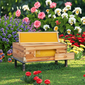 Bán buôn thân thiện với môi gỗ <span class=keywords><strong>BEE</strong></span> tổ ong đặt hàng số lượng lớn giảm giá cho thương mại nghề nuôi ong hoạt động tùy chỉnh thiết bị nghề nuôi ong - Product Image 1