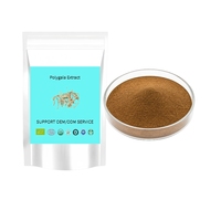 Poudre d'extrait de Polygala de qualité alimentaire, extrait de racine de Polygala Tenuifolia, saponines 8%