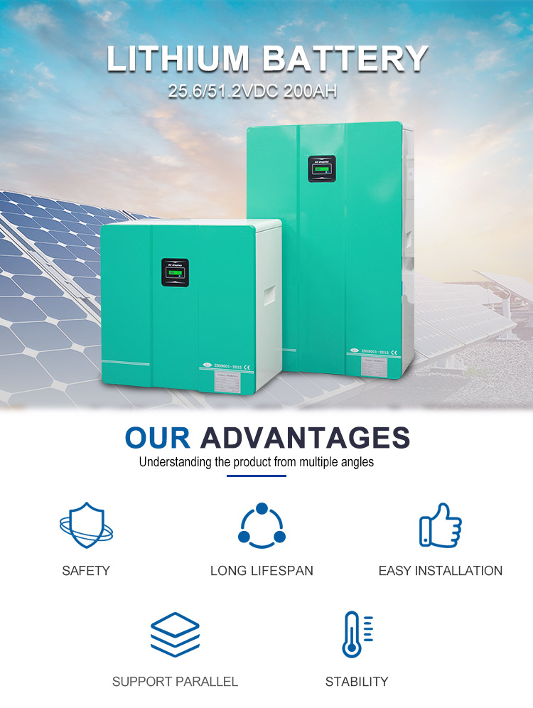 Customized Lithium Ion Battery Pack LifePo4 24V 48V 200Ah Powerwall battery For Solar Home Energy Storage System
