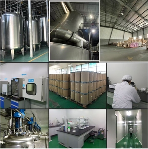 אבקת תמצית שורשים אורגנית איכותית לאנרגיה יומיומית, תמיכה ביצוא אנרגטי ועמידות בפעילות גופנית, באריזת תוף/פחית, טהורה וחזקה לאורך זמן - Product Image 5