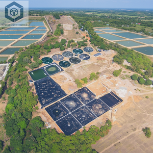 Géomembrane imperméable 2026 HDPE, <span class=keywords><strong>géotextile</strong></span> et géomembrane étanches pour projet minier au Pérou - Product Image 5