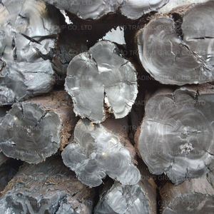 Charbon de bois noir premium à 100% de bois de café pour les restaurants et les barbecues à domicile - Sacs PP 15-20 kg - Product Image 5