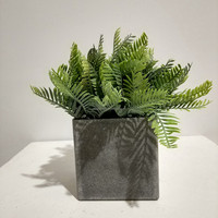 Petit Bonsaï Artificiel en Pot de 25 cm : Faux Taxus, Fougère, Cyprès, Lysimachia Sikokiana, Nephrolepis pour Mariage