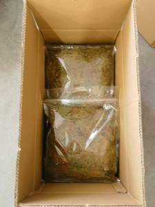 อาหารปลาแบบเกล็ดสามสี เหมาะสำหรับเพิ่มสีสันและส่<span class=keywords><strong>ง</strong></span>เสริมการเจริญเติบโตของปลาเขตร้อน - Product Image 5