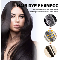 Shampooing Teintant Noir Bio en Gros 2-en-1 aux Herbes Polygonum Multiflorum et Gingembre, Liquide Permanent à Action Rapide pour Cheveux Gras, Abîmés et Bouclés