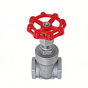 Válvula de Compuerta Roscada de Acero Inoxidable con Roscas Internas, para Suministro y Drenaje de Agua en Tuberías Industriales, Manual de Apertura y Cierre - Product Image 2
