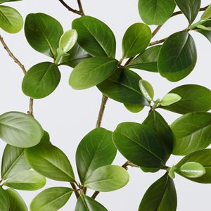 Feuilles artificielles de Schefflera Dream Castle, 30cm-100cm, en PVC, plante en forme de patte de canard, branche unique, pour décoration intérieure - Product Image 4