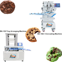 Meilleure machine automatique pour la fabrication de biscuits aux pépites de chocolat salées, machine à enrober les biscuits aux pépites de chocolat à vendre