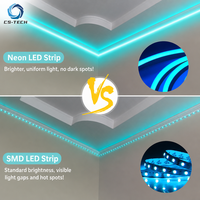 Bande lumineuse LED néon en silicone étanche IP67 0817 DC24V à vision latérale, flexible, pour l'éclairage de façade de bâtiment