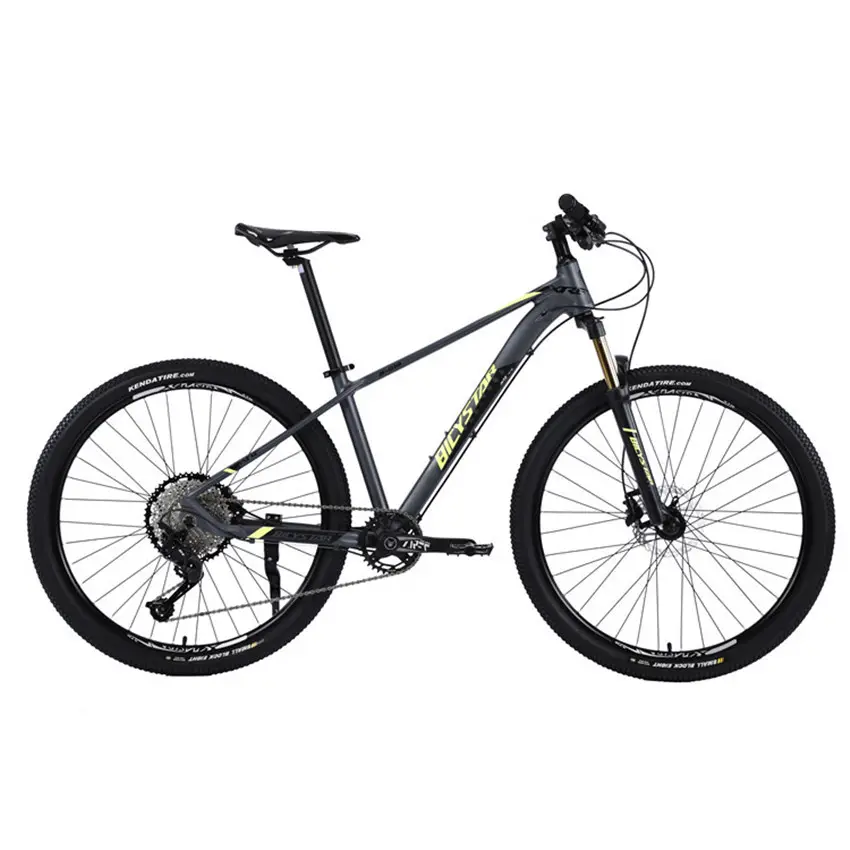29'' Alloy frame mtb bike bicycle for sale / OEM custom wholesale price carbon mtb