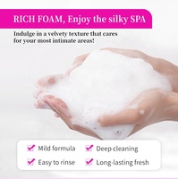 Mousse nettoyante intime OEM à l'acide borique pour femmes, à base de plantes naturelles, antibactérienne, équilibrante du pH, élimine les odeurs, nettoyage vaginal, vente en gros