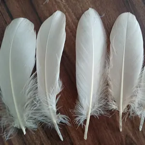 15-20cm Feather Crafts gold Supplier certificated dyed goose nagoire Feather Promotional white feathers for dresses skirt party