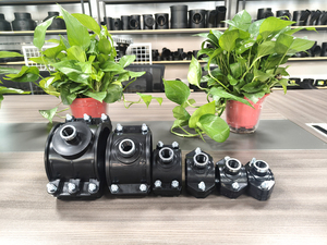 Raccordo a Morsetto in PP PN16 con Filettatura Femmina 25*1/2" per Irrigazione e Fornitura Idrica, Installazione Rapida - Product Image 1