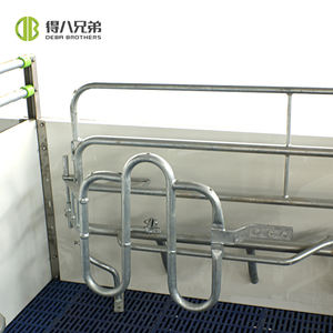 Entrega de fábrica, jaula de parto de bienestar para cerdo, diseño de libertad, bienestar animal, Cama Abierta De Lactancia Para Cerdas - Product Image 2