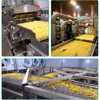 Ligne de production entièrement automatique de frites de pommes de terre surgelées |   Machine industrielle de fabrication de chips de pommes de terre