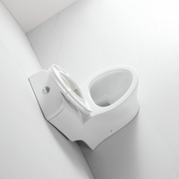 WC monobloc en céramique blanc avec siphon en S, certifié CUPC, pour hôtels et villas