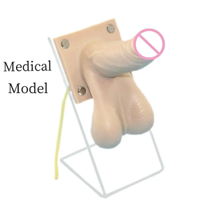 Medizinisches Lehrmodell für Familienplanung, Studenten, Ärzte, Lehrer, Ausbildung, Männliches Kondom, Praxis, Anatomisch - Product Image 2