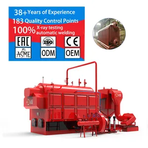 CJSE dzh hot water boiler household heating biomass boiler wood and pellets boiler coal fired for food industrial