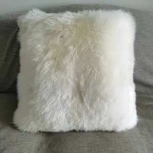 Housse de coussin en fourrure animale véritable, coussin en peluche en laine longue, canapé, décoration de la maison, coussins en fourrure de peau de mouton Double face